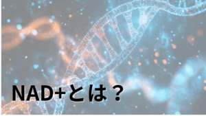 DNAの螺旋構造と「NAD+とは?」